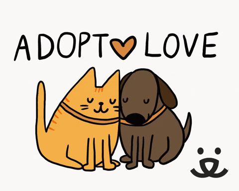 Choose a shelter dog