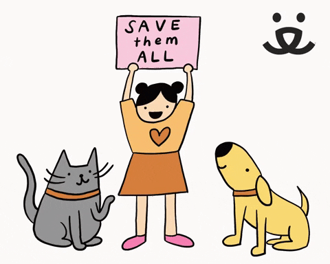 Choose a shelter dog